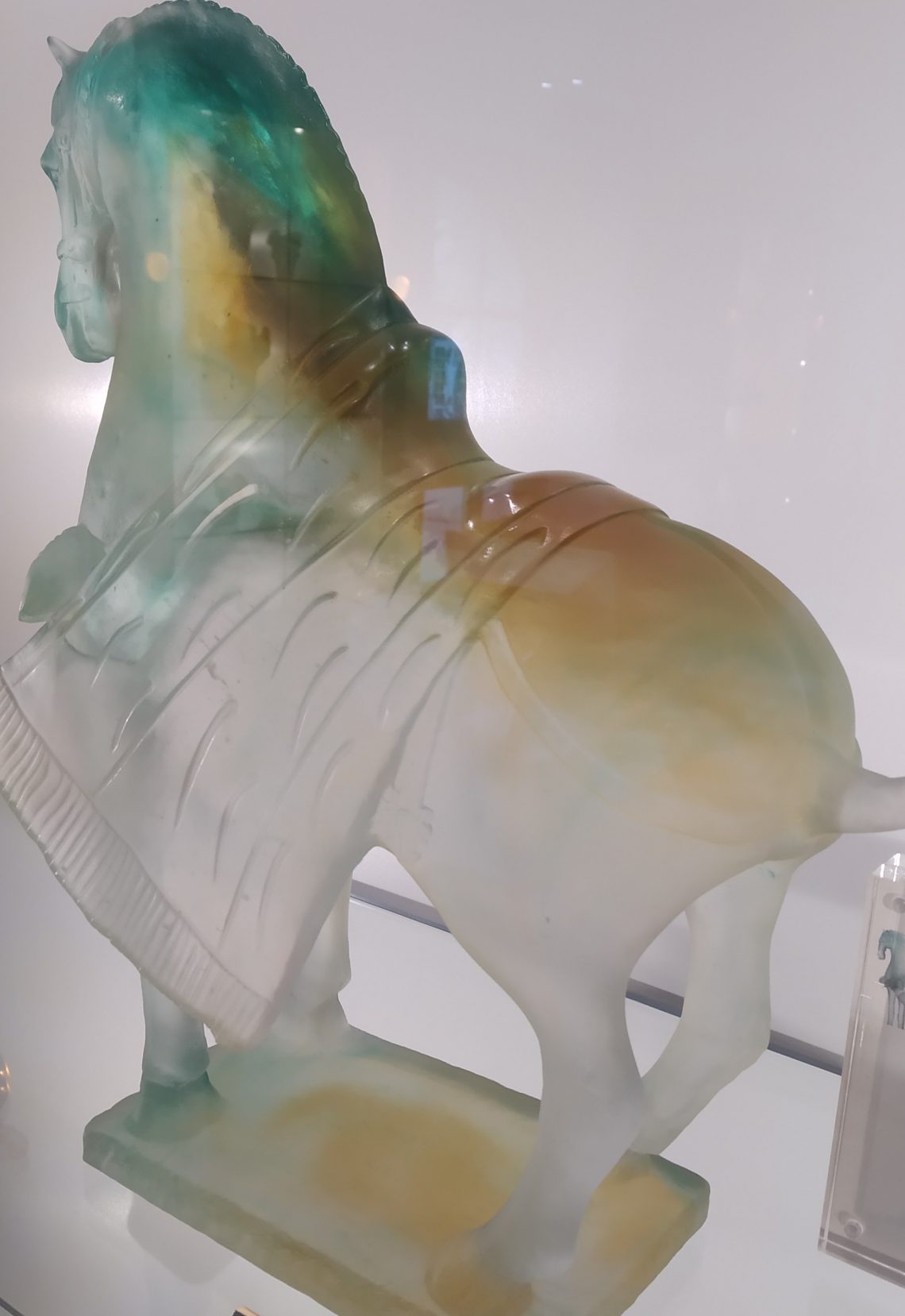 acupuncture équine illustration